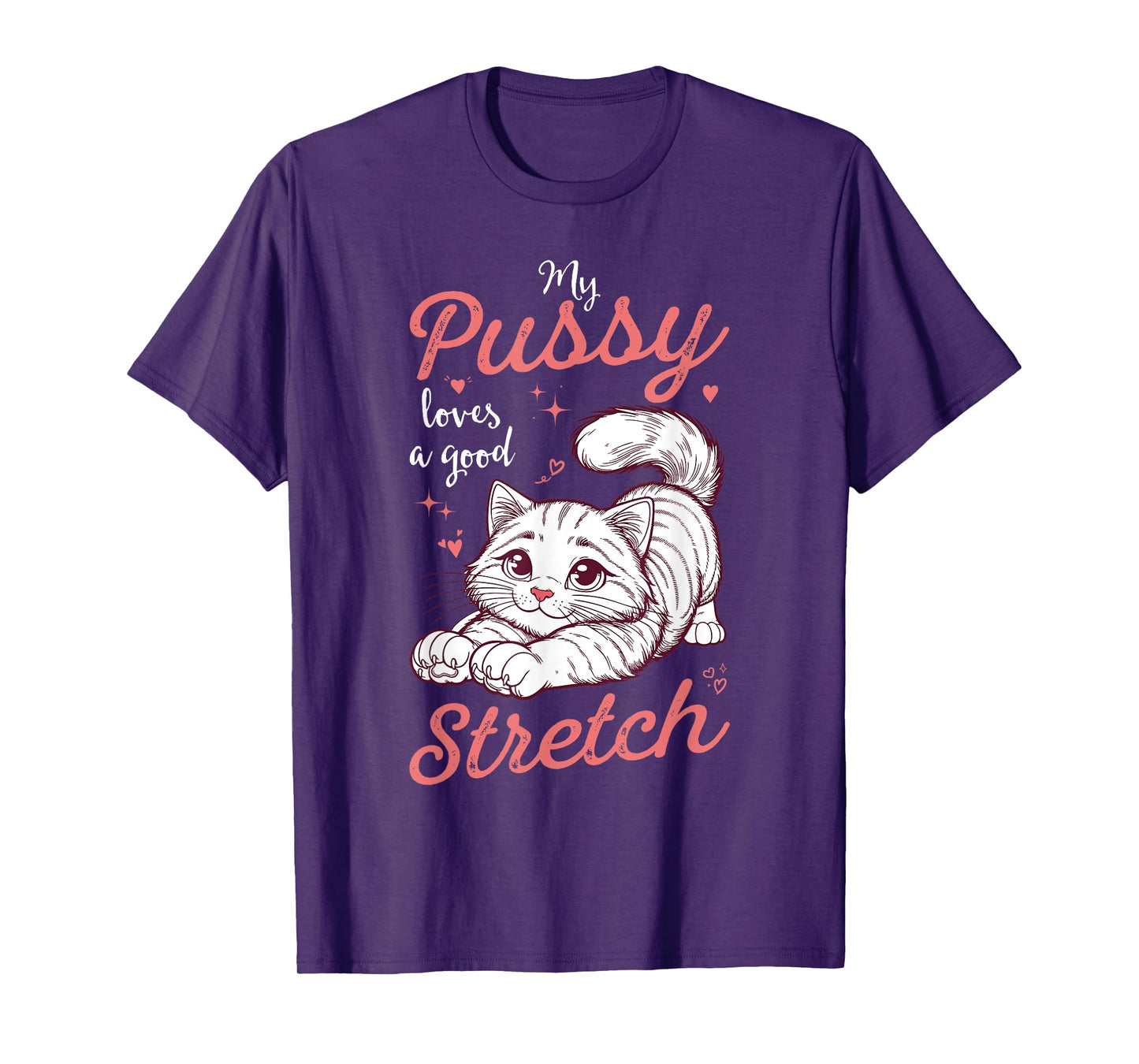 My Pussy Loves A Good Stretch Funny Inappropriate Womens T-Shirt