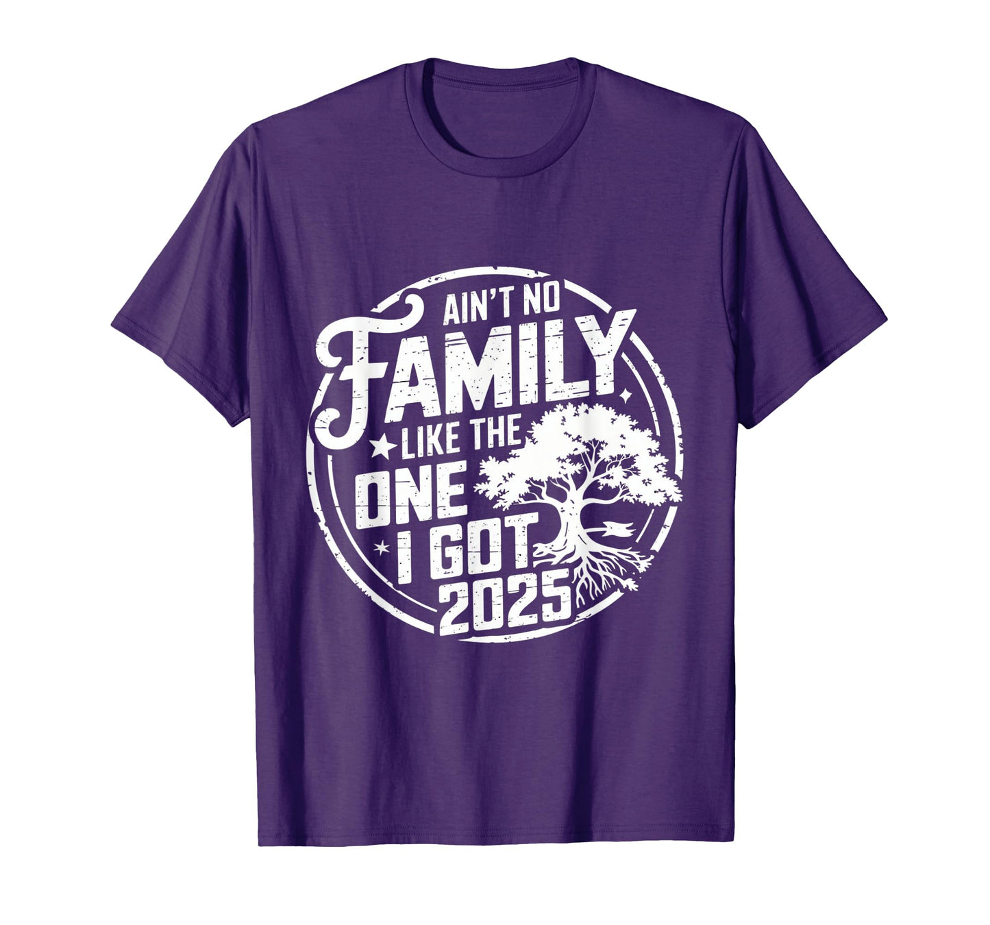 Ain't No Family Like The One I Got Reunion 2025 funny T-Shirt