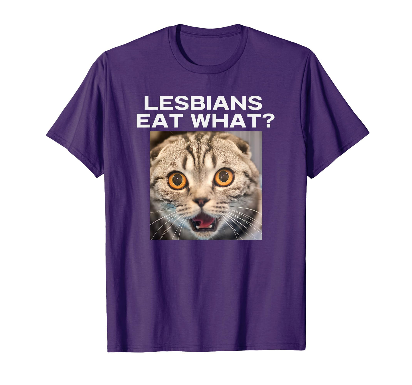 Lesbians Eat What Adult Humor Pun Gag Funny Statement Joke T-Shirt