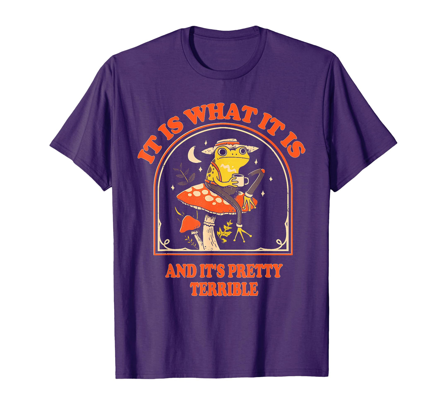 It Is What It Is And It's Pretty Terrible Funny design T-Shirt