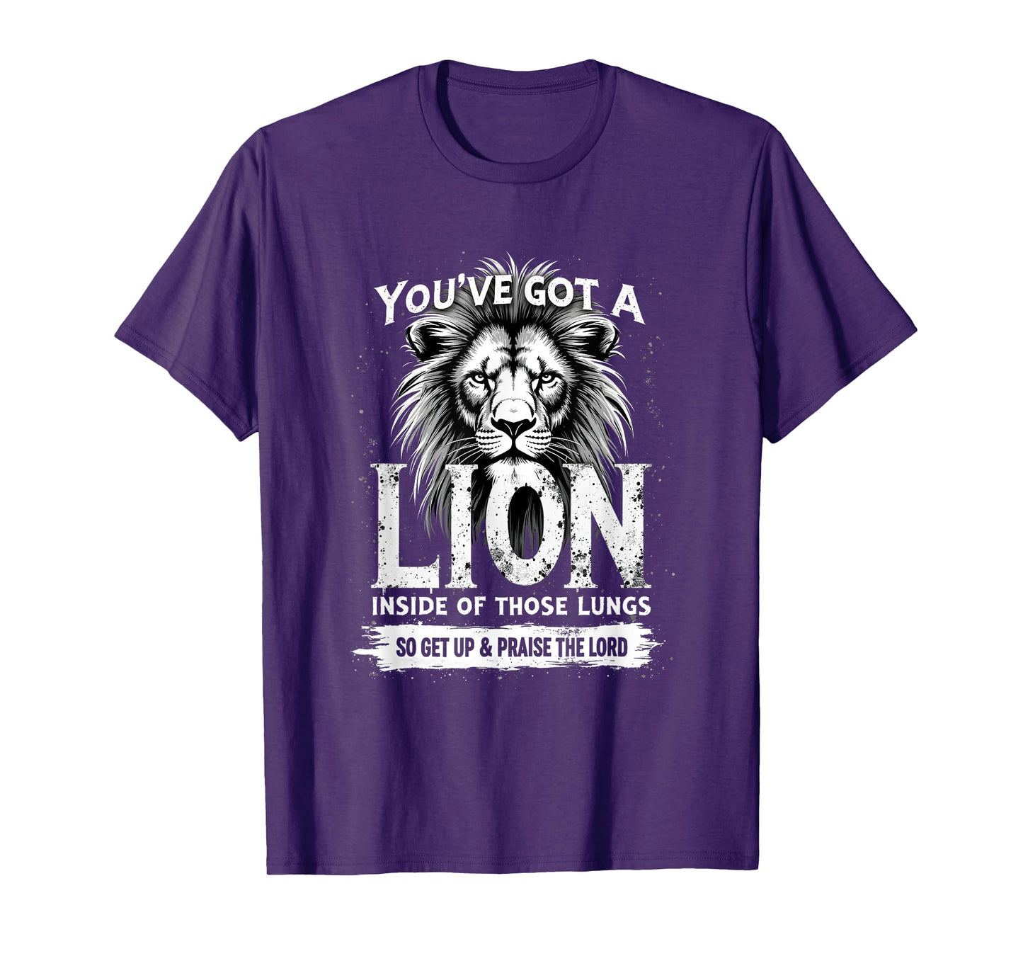 You've Got A Lion Praise The Lord Christian Worship Gift T-Shirt