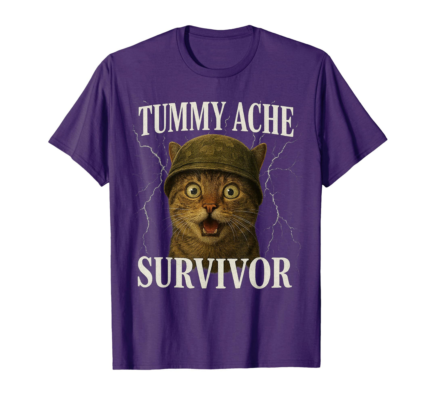 Funny Saying Cat Tummy Ache Survivor Meme Survived Today's T-Shirt