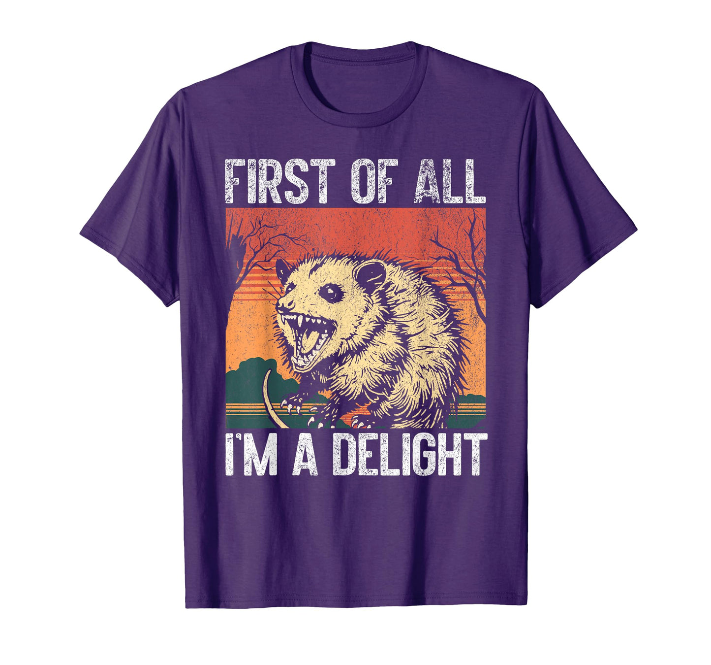 First Of All I'm a Delight Funny Opossum Sarcastic Retro T-Shirt