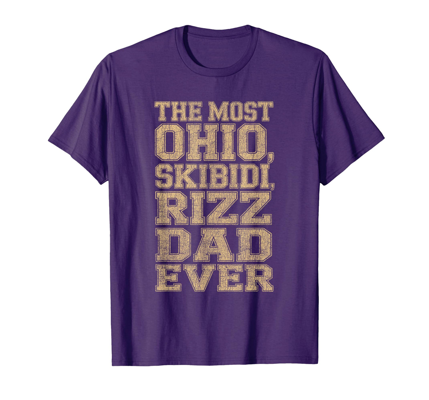 Ohio Skibidi Rizz Dad Funny Internet Meme Quote Typography T-Shirt