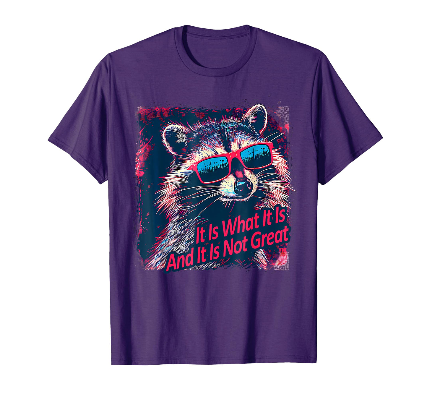 Cool Raccoon Sarcastic It Is What It Is And It Is Not Great T-Shirt