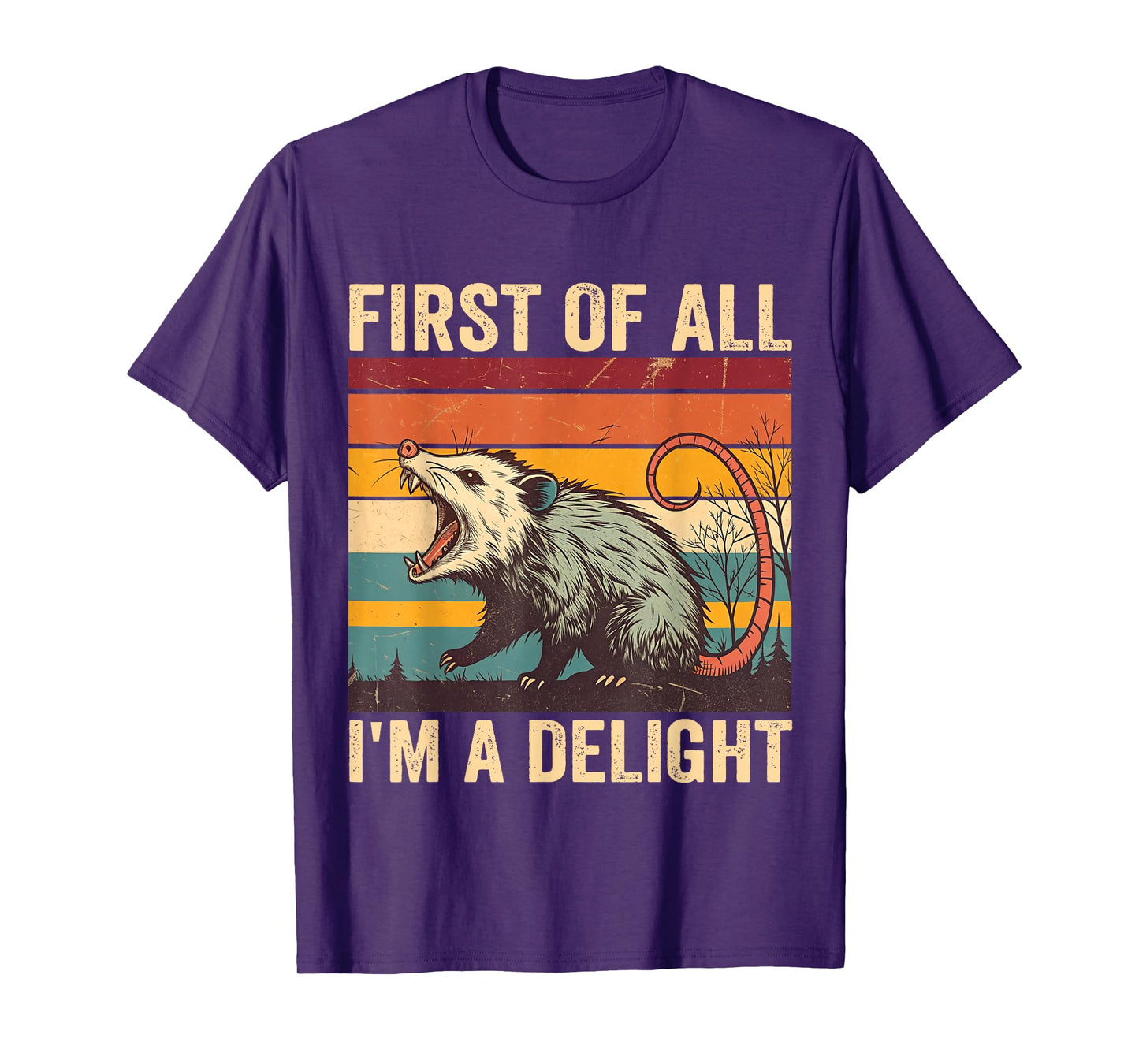First Of All I'm A Delight Angry Possum Opossum Sarcastic T-Shirt