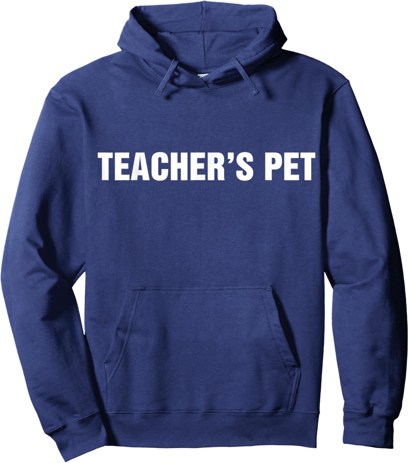 Teacher Pet Student Classroom Enthusiast Hoodie - Hoodie | Navy