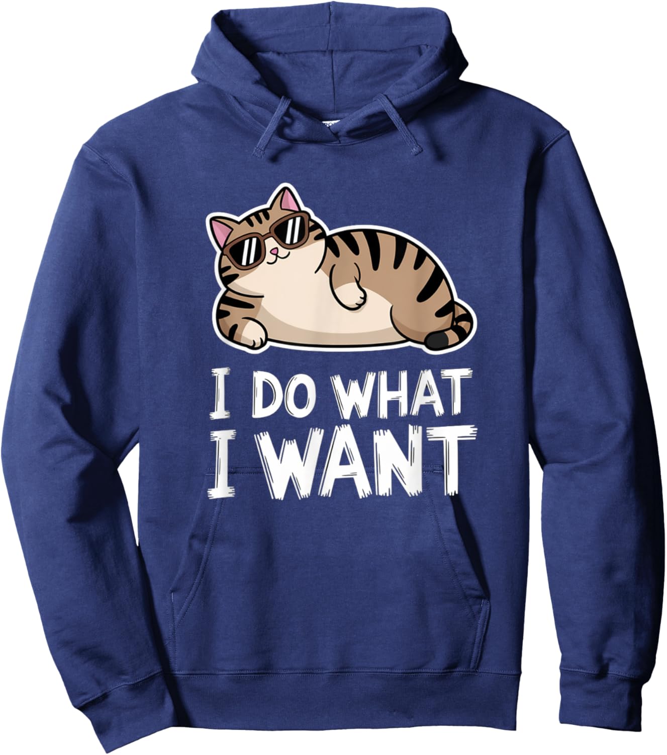 Cute I Do What I Want Funny Sleeping Fat Cat Lover Introvert Hoodie - Hoodie | Navy