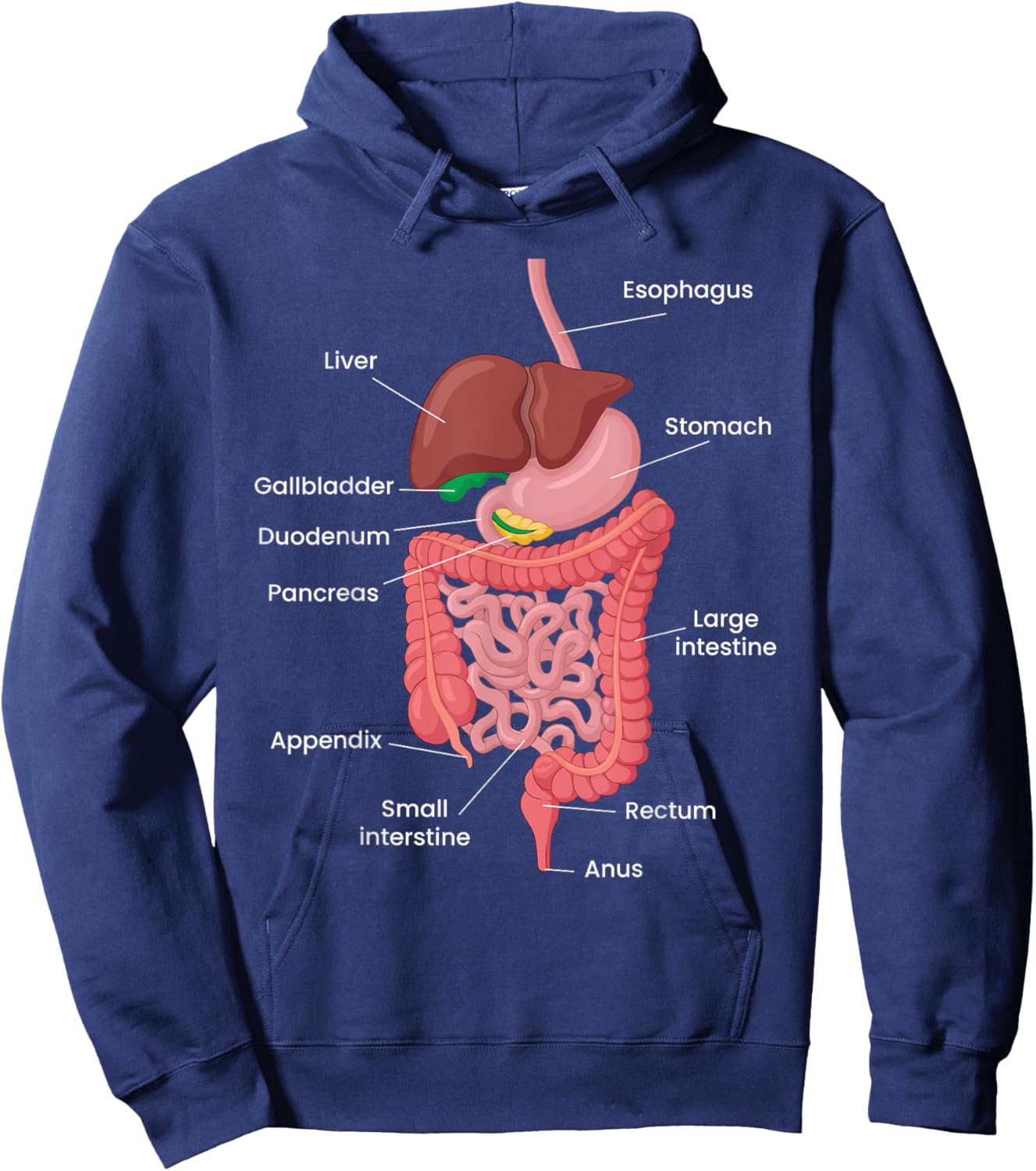Biological Apparel -Adults Anatomy Digestive System Black Small Classic Short Sleeve Hoodie - Hoodie | Navy