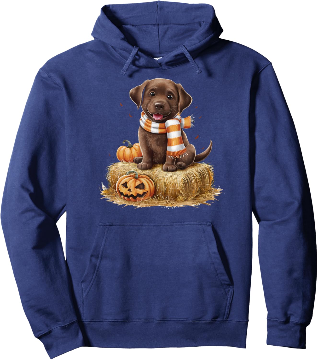 Pumpkin and a Chocolate Lab Hoodie - Hoodie | Navy