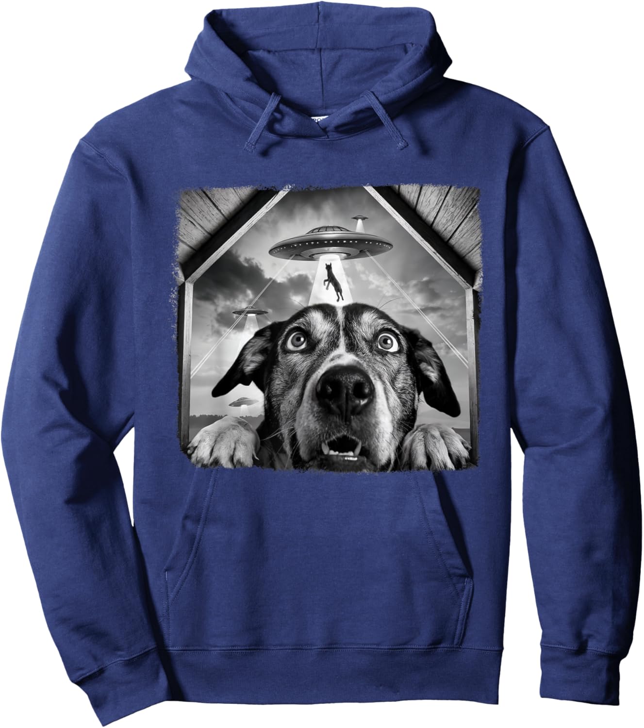 Dog Abducted By Aliens Funny Halloween Ufo Dog Mom Dad Women Hoodie - Hoodie | Navy
