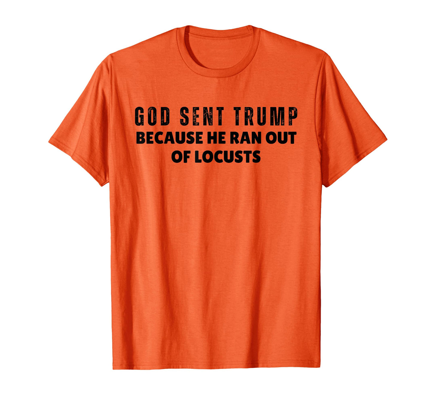 God Sent Trump Because He Ran Out Of Locusts Anti-Trump T-Shirt