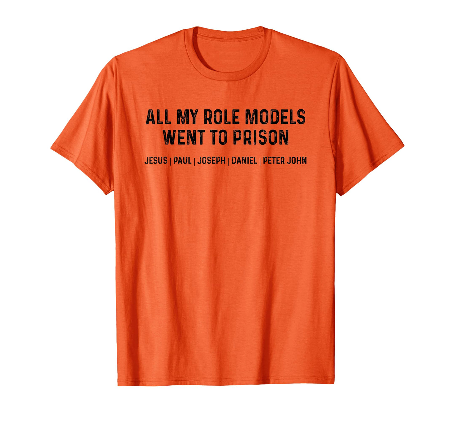 All My Role Models Went To Prison T-Shirt