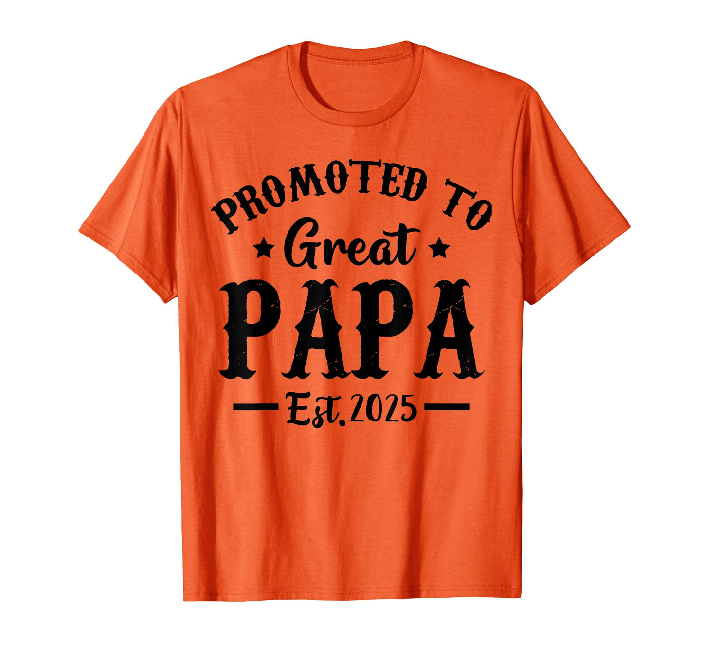 Promoted To Great Papa Est 2025 Dad T-Shirt