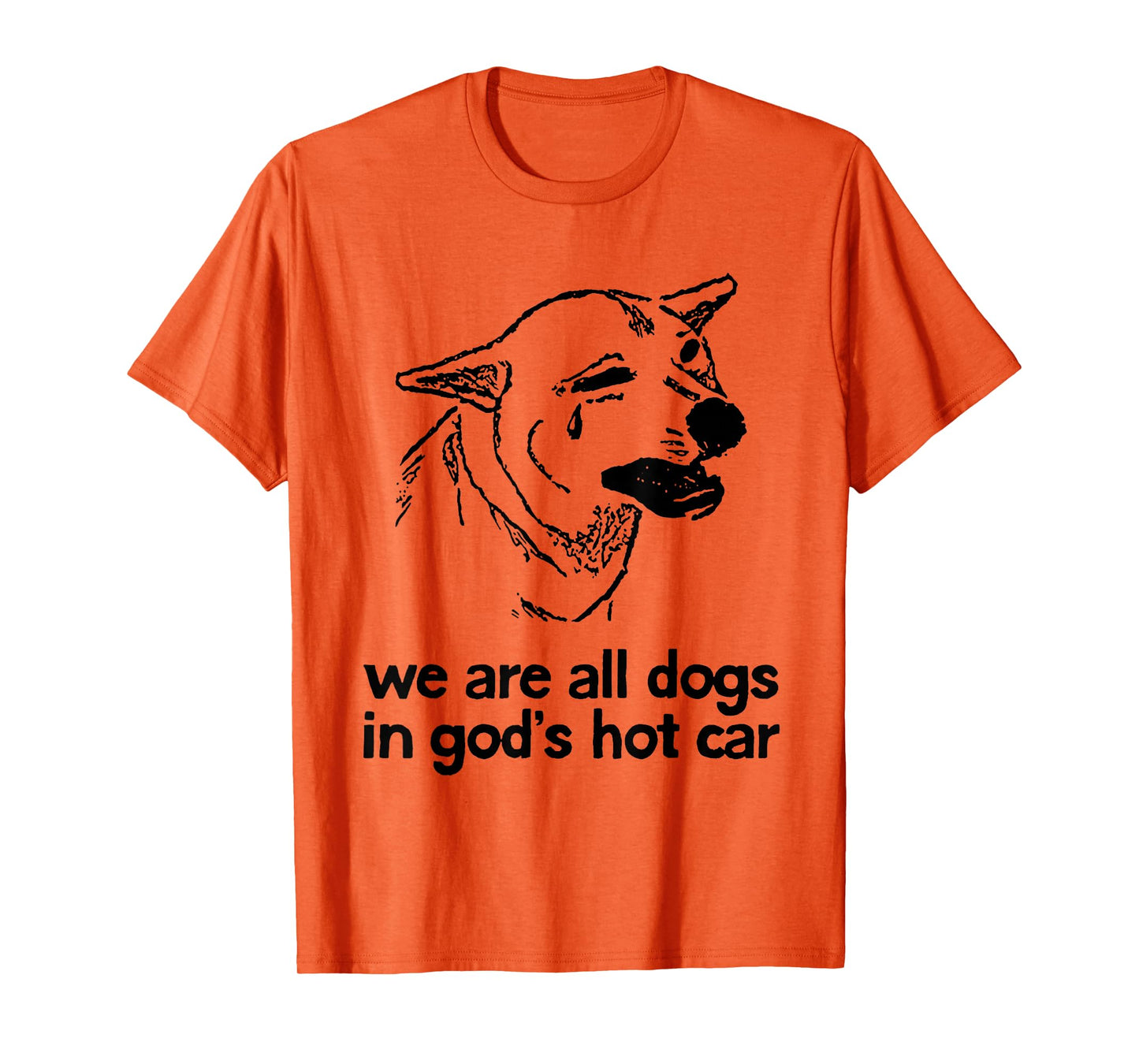 We are All Dogs in God's Hot Car Funny Dog Meme T-Shirt