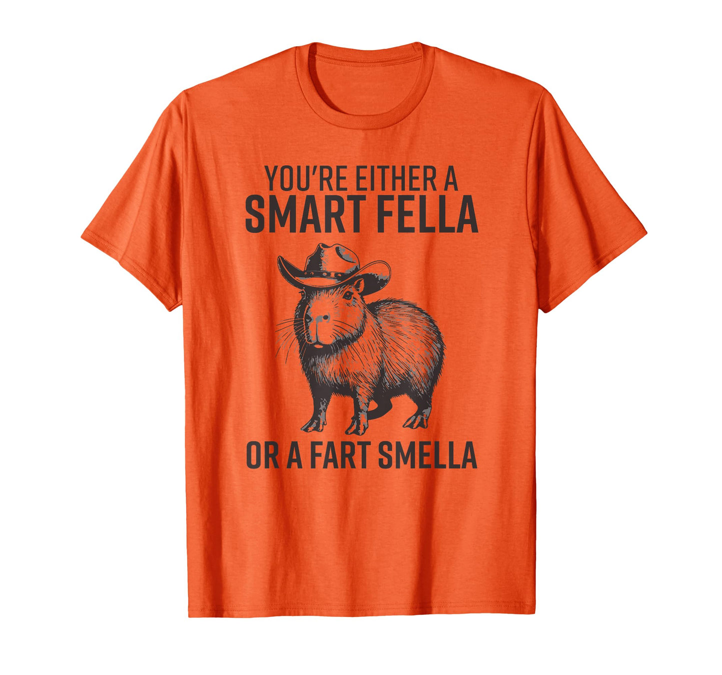 You're Either A Smart Fella Or A Fart Smella Funny Capybara T-Shirt