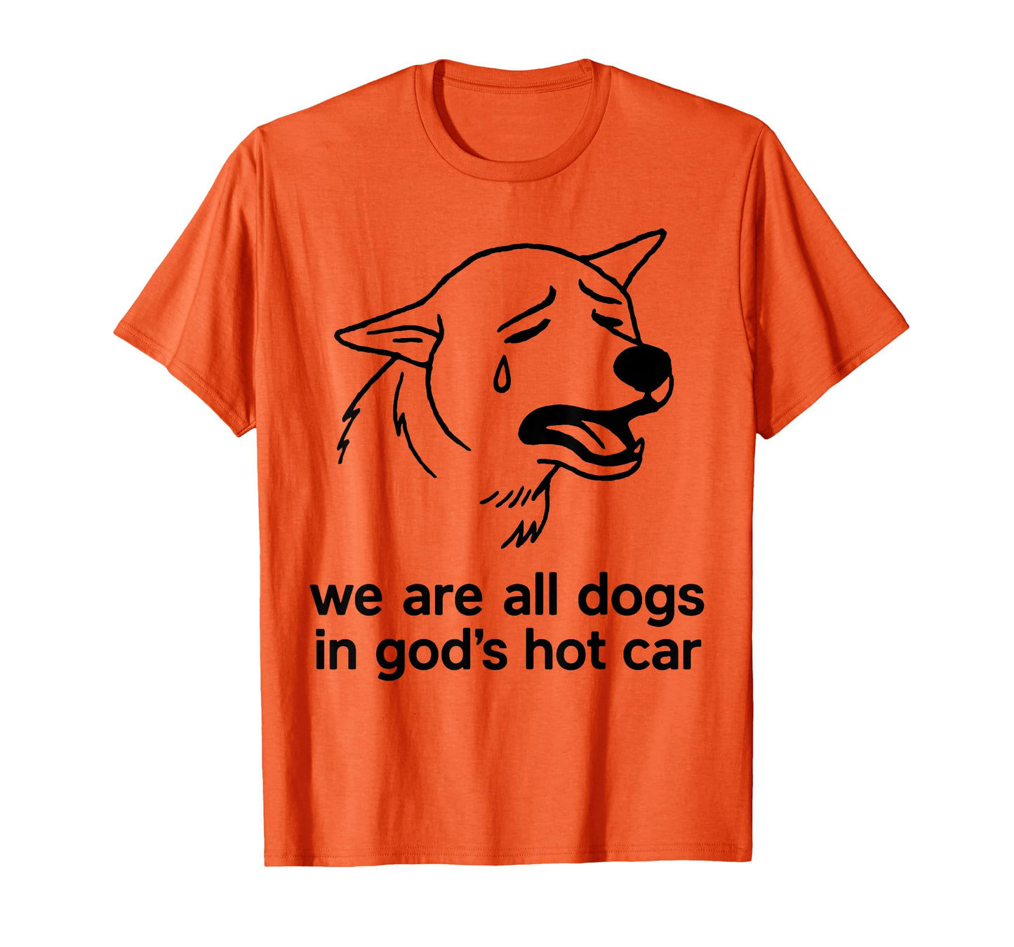 We are All Dogs in God's Hot Car Funny Dog Meme T-Shirt