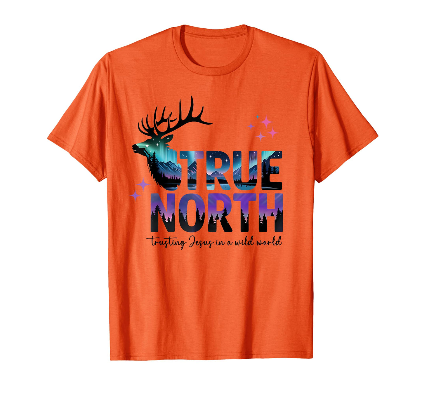 True North Trusting Jesus In A Wild World Magnified VBS 2025 T-Shirt