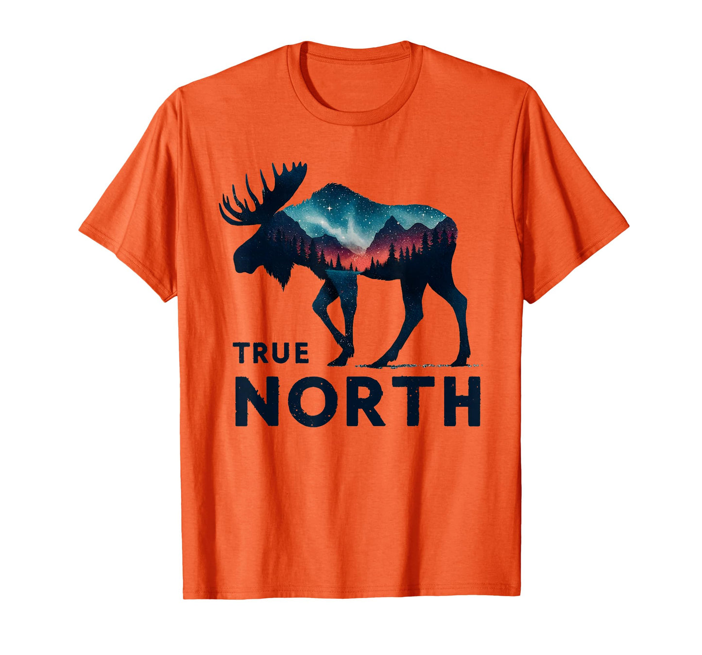VBS Christian Summer School True North VBS 2025 T-Shirt