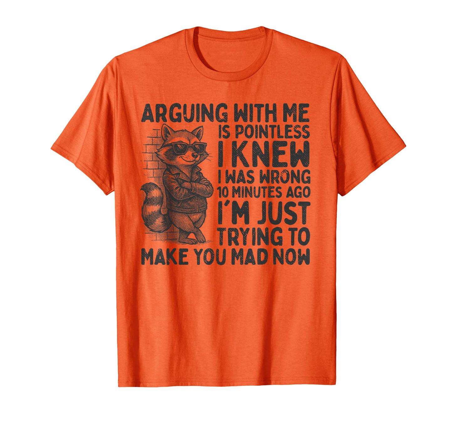 Arguing With Me Is Pointless Raccoon Funny Sarcastic Meme T-Shirt