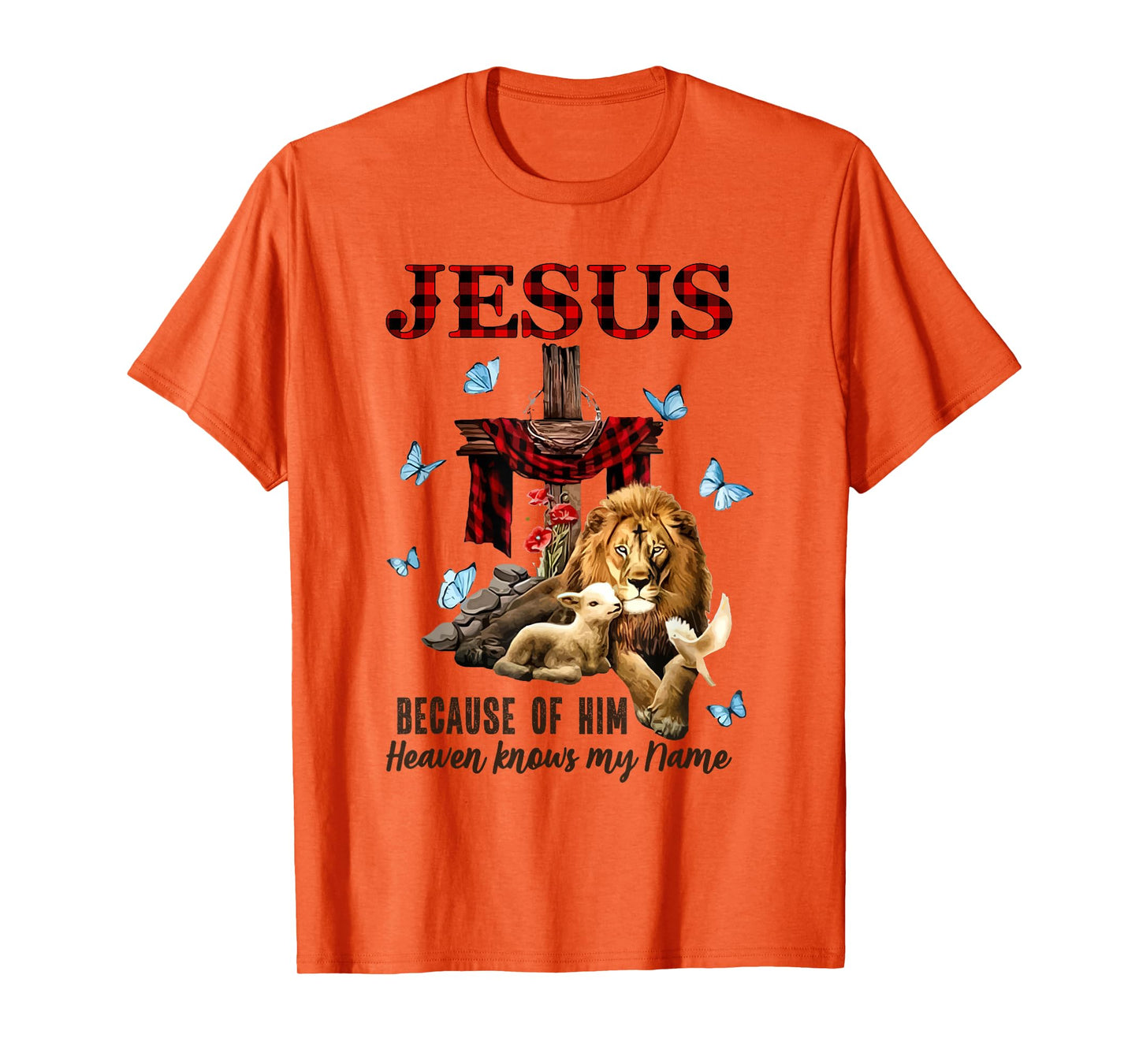 FAITH Jesus Lion Lamb Heaven Know My Name T-Shirt