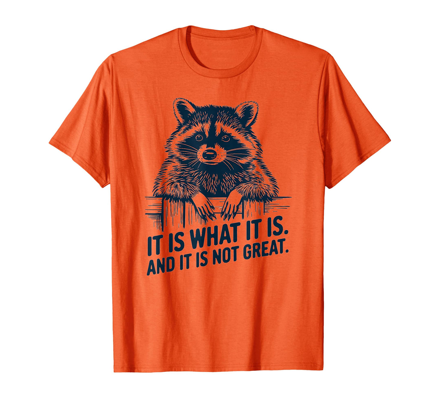 Funny Raccoon It Is What It Is Meme Design T-Shirt