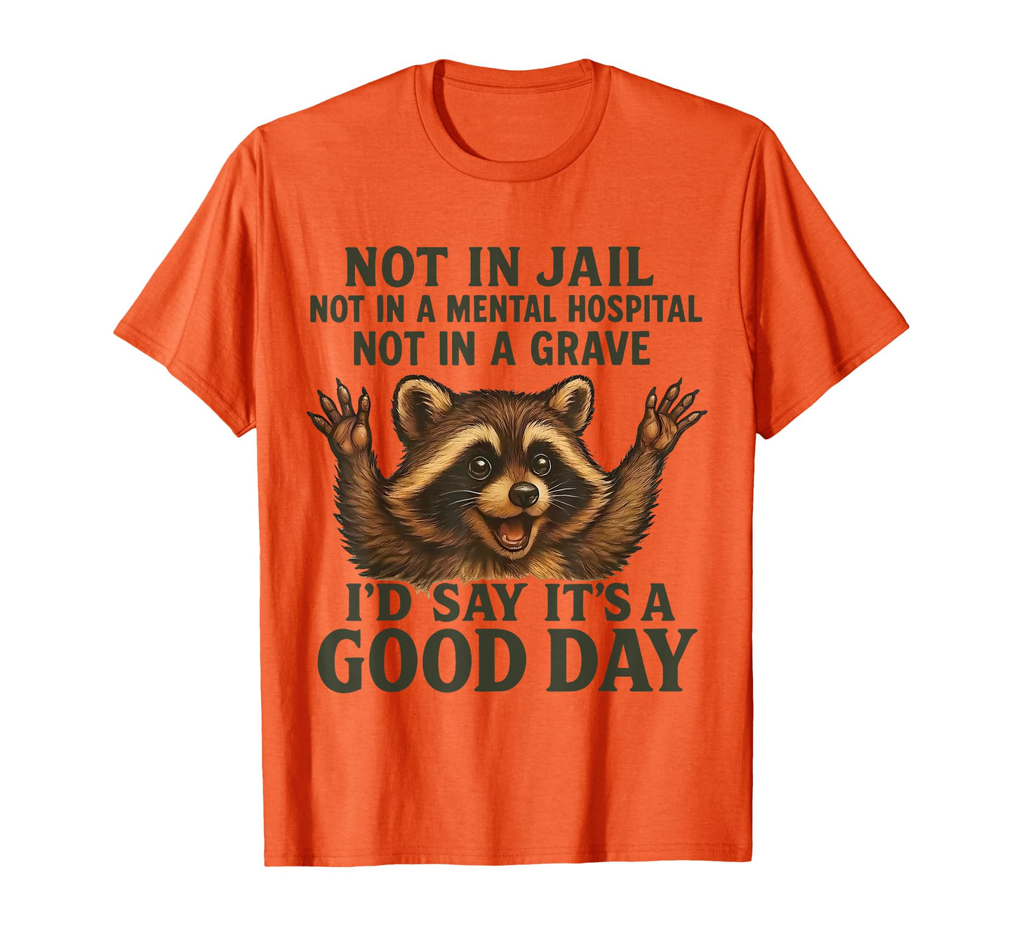 Not in Jail Not in A Mental Hospital Not in A Grave Raccoon T-Shirt