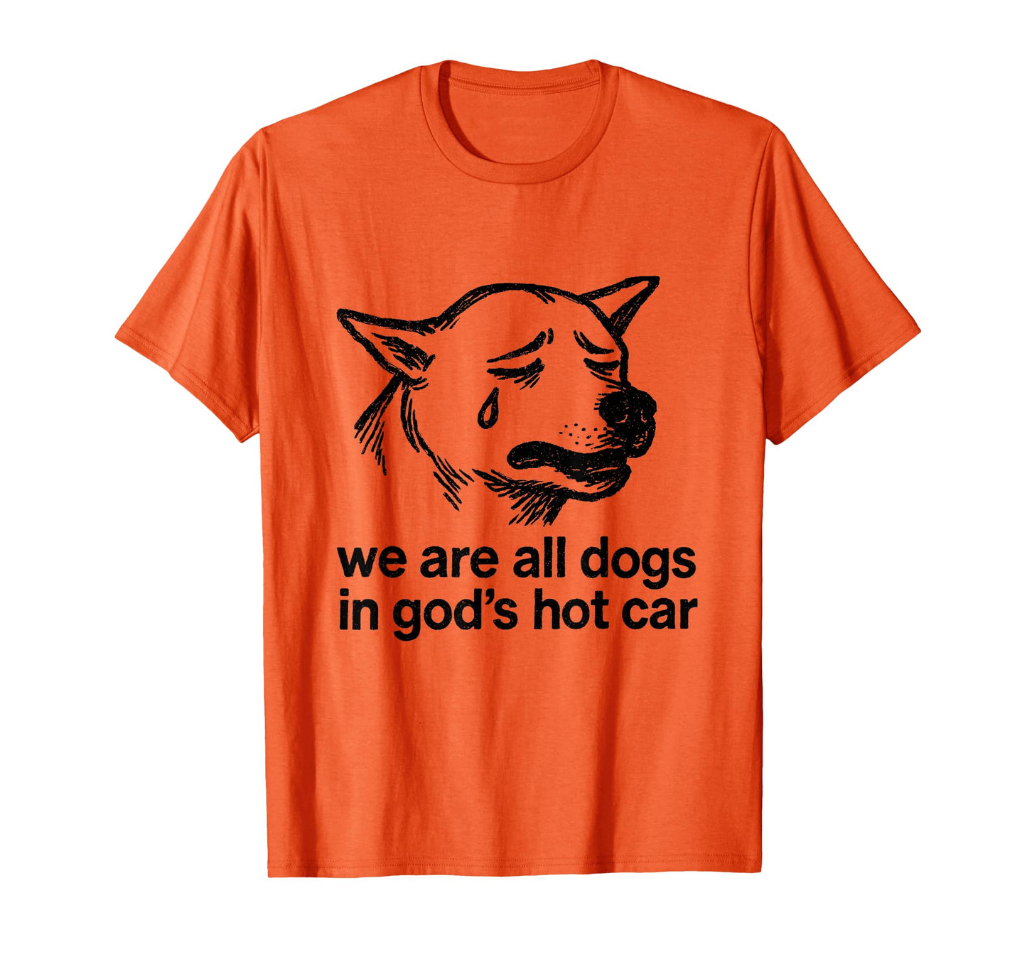 We are All Dogs in God's Hot Car Funny Dog Meme T-Shirt