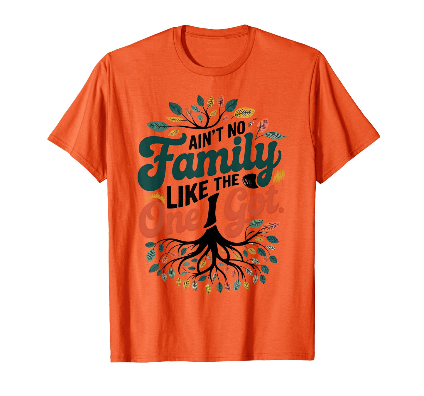 Ain't No Family Like The One I Got Funny Family Reunion T-Shirt