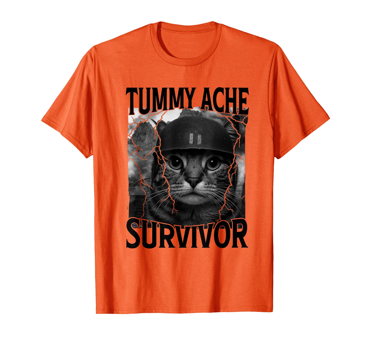 Funny Saying Cat Tummy Ache Survivor Meme Survived Today's T-Shirt