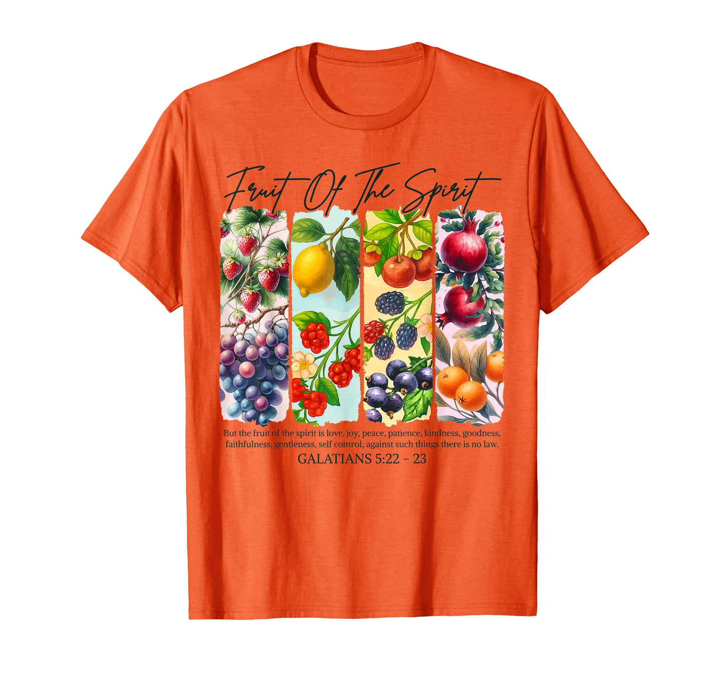 Christian Faith Religious Brushstroke Fruit Of The Spirit T-Shirt