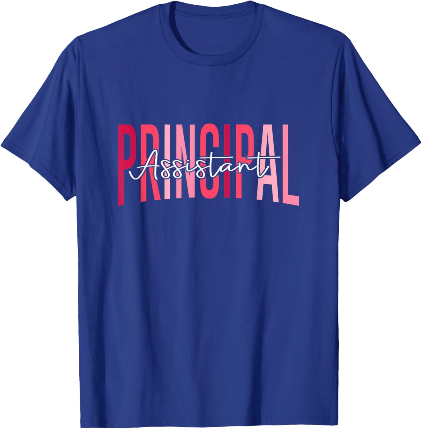Funny Assistant Principal Funny School Worker Assistant T-Shirt - T-Shirt | Royal