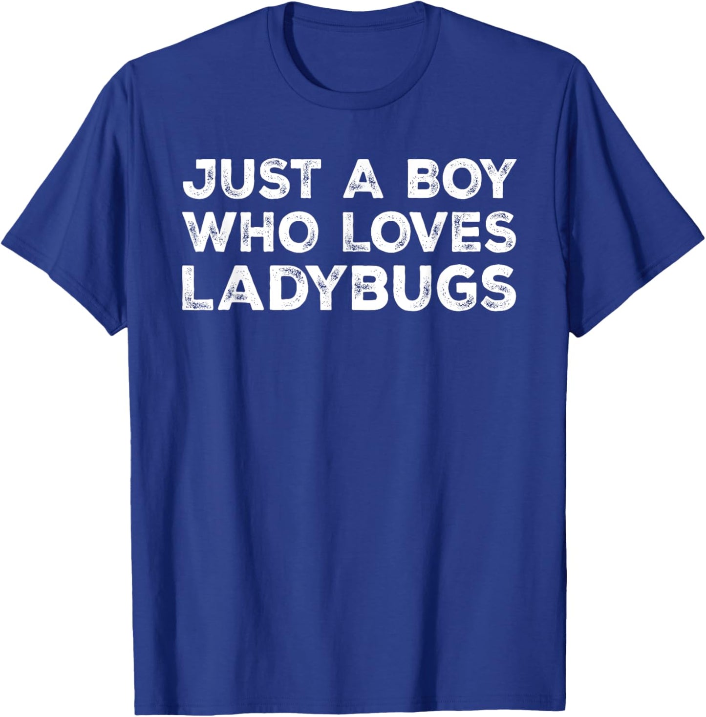 Just A Boy Who Loves Ladybugs, Cute Ladybug Lovers T-Shirt - T-Shirt | Royal