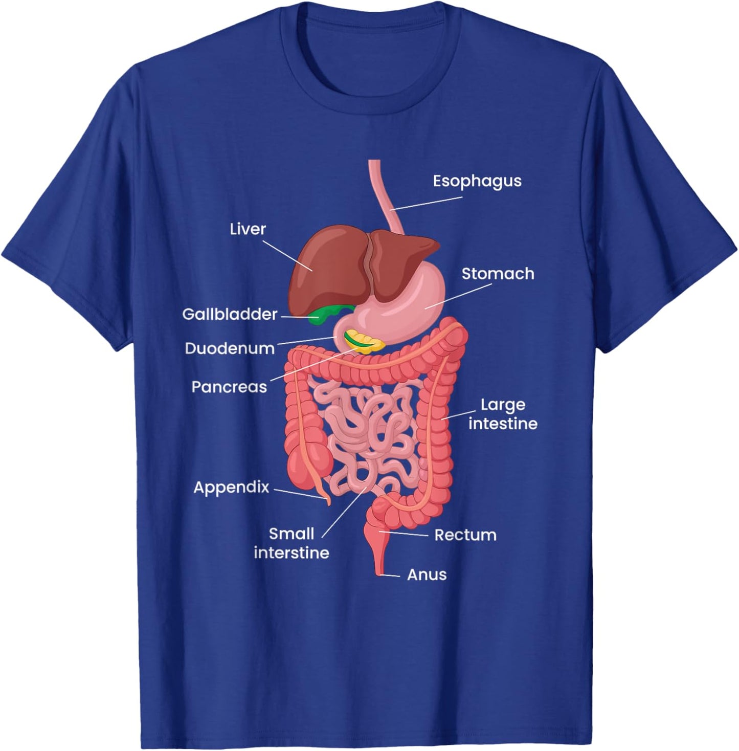 Biological Apparel -Adults Anatomy Digestive System Black Small Classic Short Sleeve T-Shirt - T-Shirt | Royal