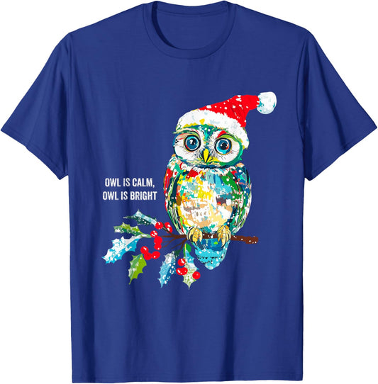 Funny Owl Wearing Santa Claus Hat Christmas Holiday Meme T-Shirt - T-Shirt | Royal