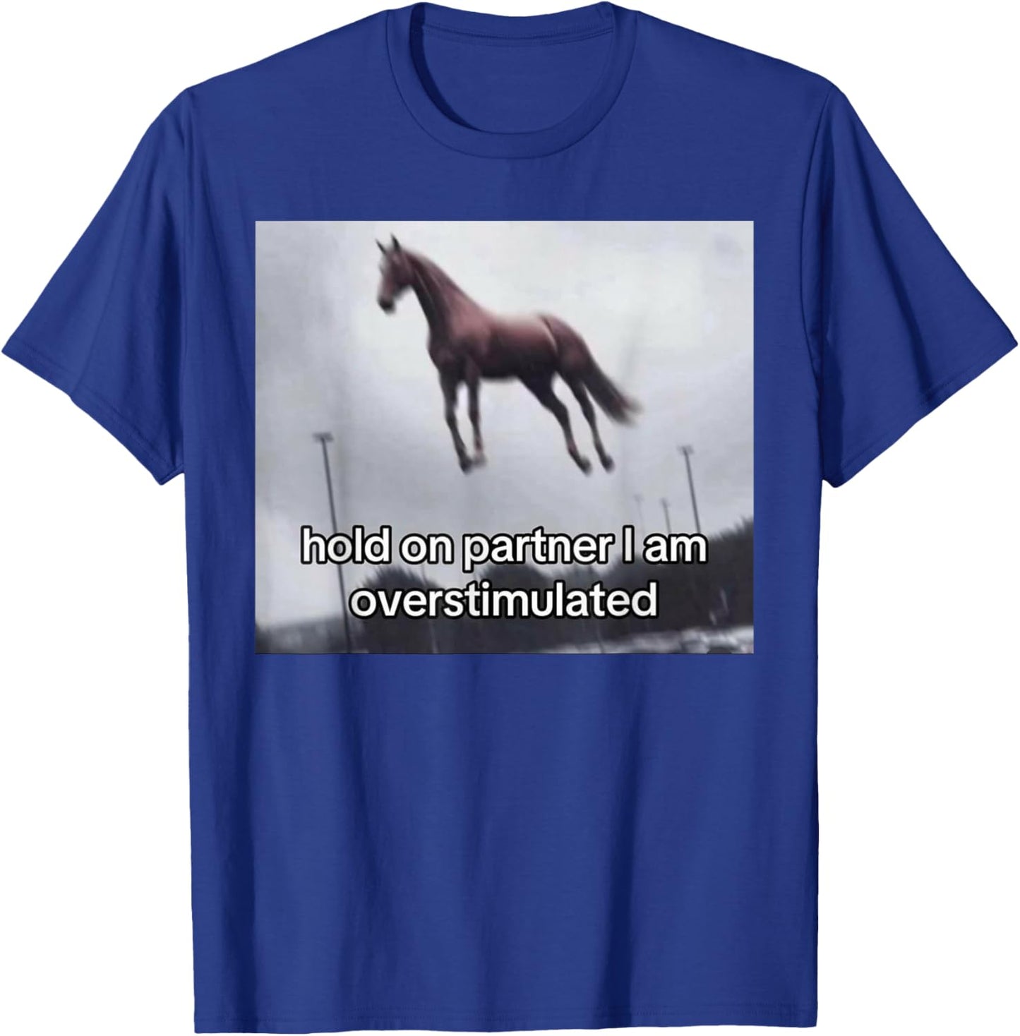 Vintage 1977 Groovy Hold On Partner I'm Overstimulated Western Horse - -Adults, Black, Small, Short Sleeve T-Shirt - T-Shirt | Royal