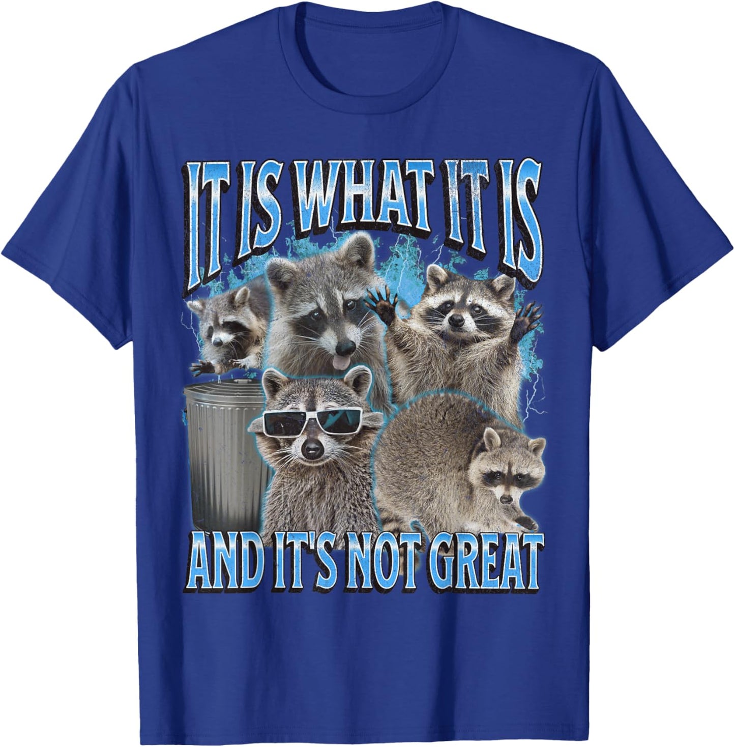 It Is What It Is Funny Raccoon Meme Bootleg Graphic 90s T-Shirt - T-Shirt | Royal