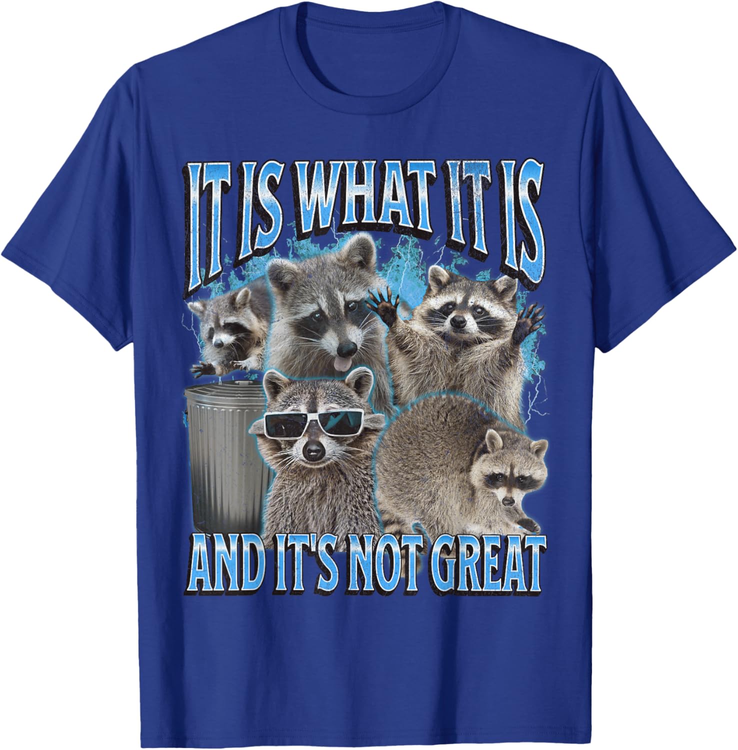 It Is What It Is Funny Raccoon Meme Bootleg Graphic 90s T-Shirt - T-Shirt | Royal