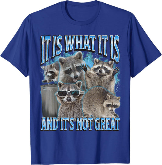 It Is What It Is Funny Raccoon Meme Bootleg Graphic 90s T-Shirt - T-Shirt | Royal