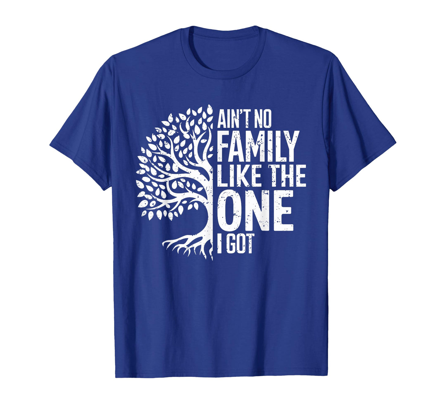 Ain't No Family Like The One I Got Funny Family Reunion 2025 T-Shirt