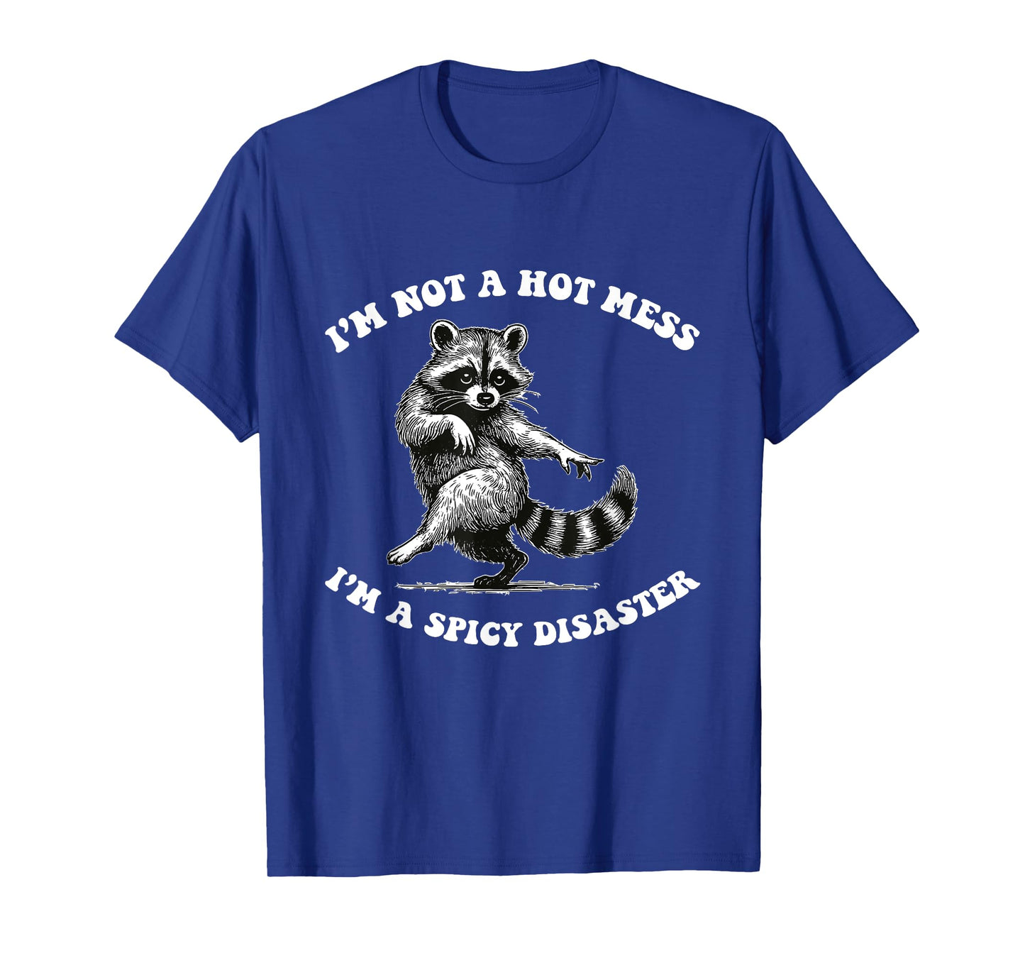 I'm Not A Hot Mess I'm A Spicy Disaster Raccoon Sarcastic T-Shirt
