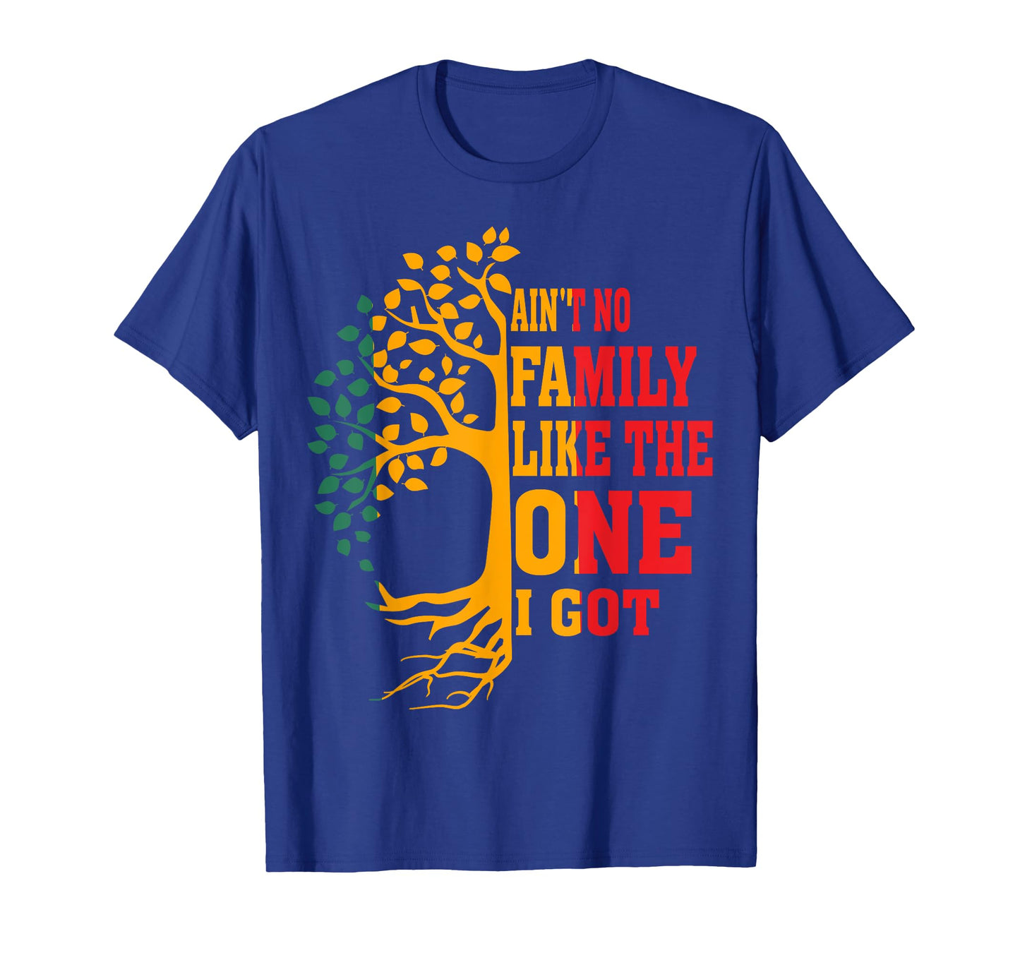 Ain't No Family Like The One I Got Funny Family Reunion 2024 T-Shirt
