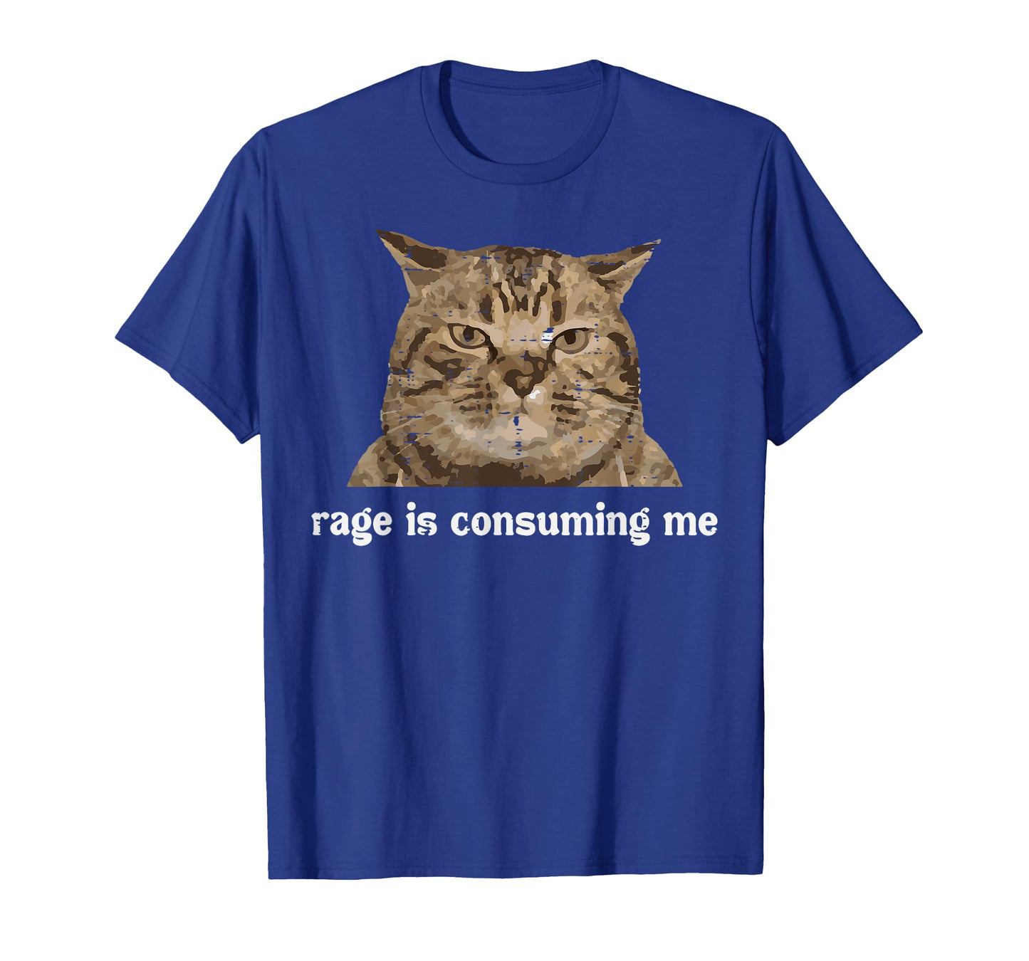 Rage Is Consuming Me Funny Cat Silly Saying Meme Women Men T-Shirt