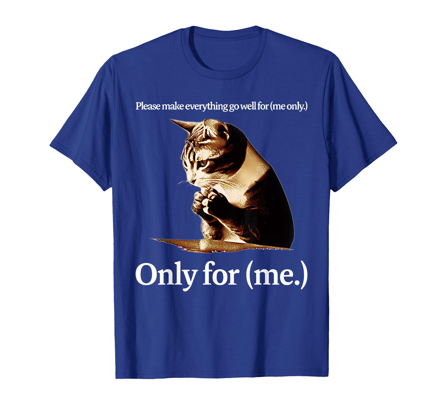 Cat Jesus Please Make Everything Go Well For Only For (Me) T-Shirt