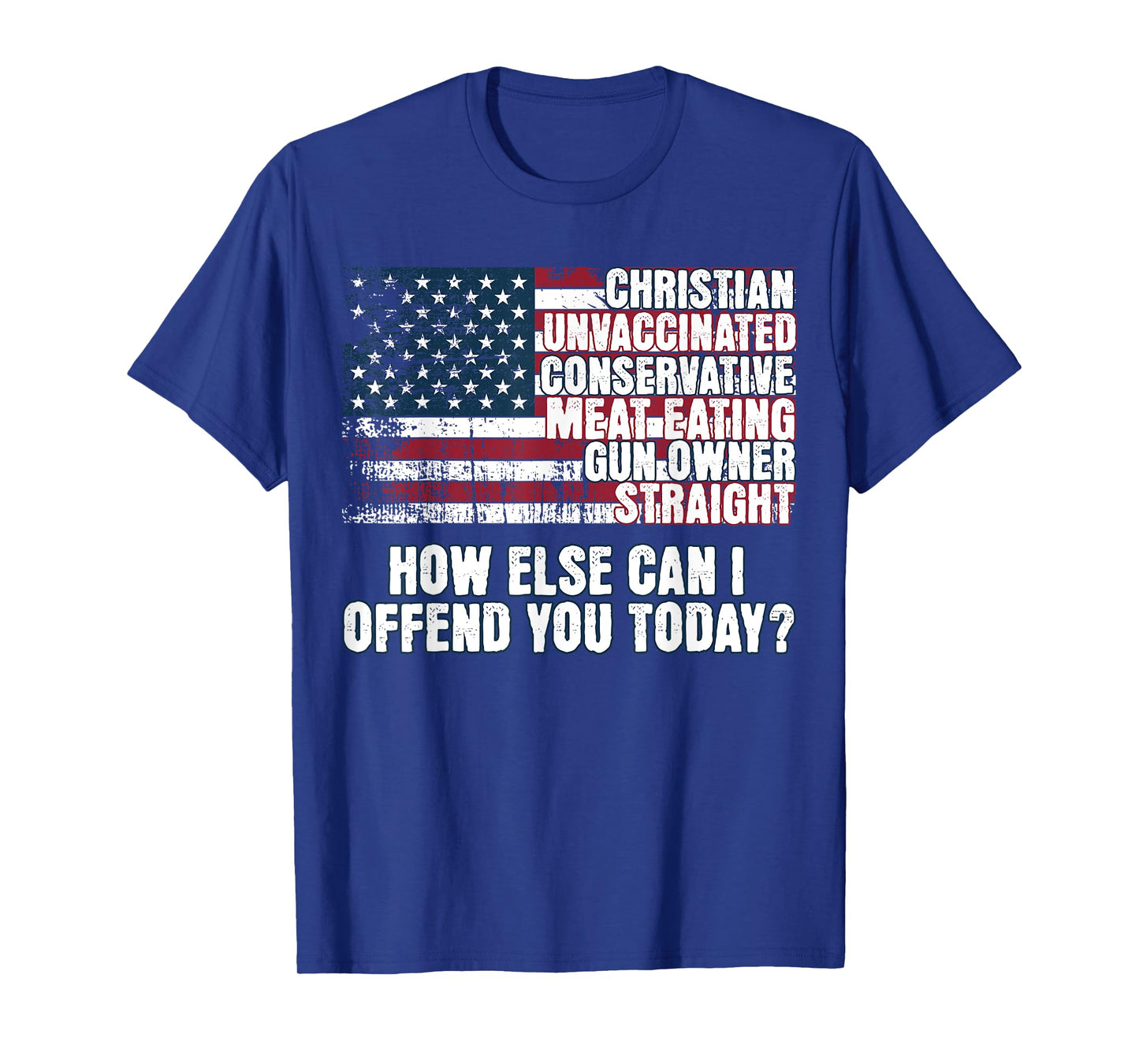 Christian Conservative... How Else Can I Offend You Today T-Shirt