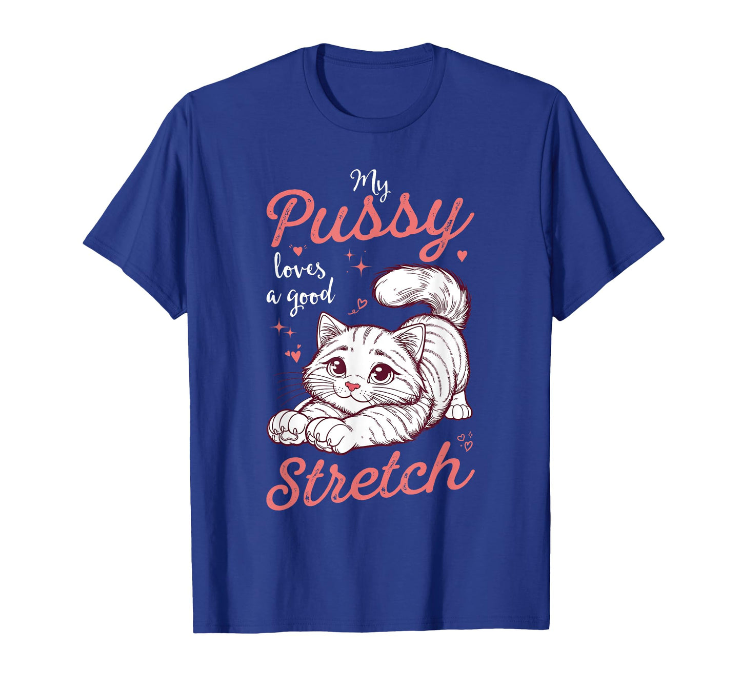 My Pussy Loves A Good Stretch Funny Inappropriate Womens T-Shirt
