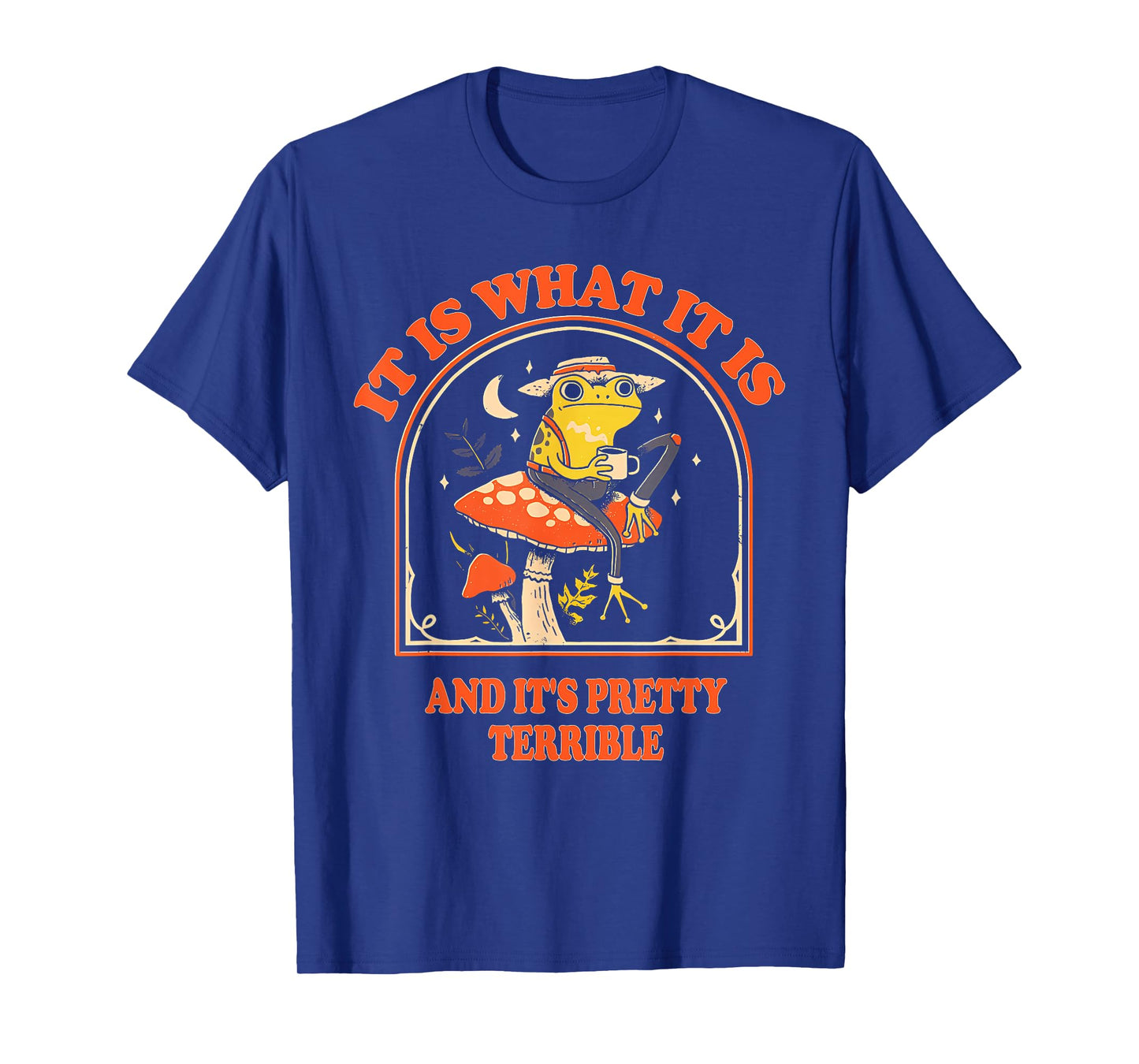 It Is What It Is And It's Pretty Terrible Funny design T-Shirt