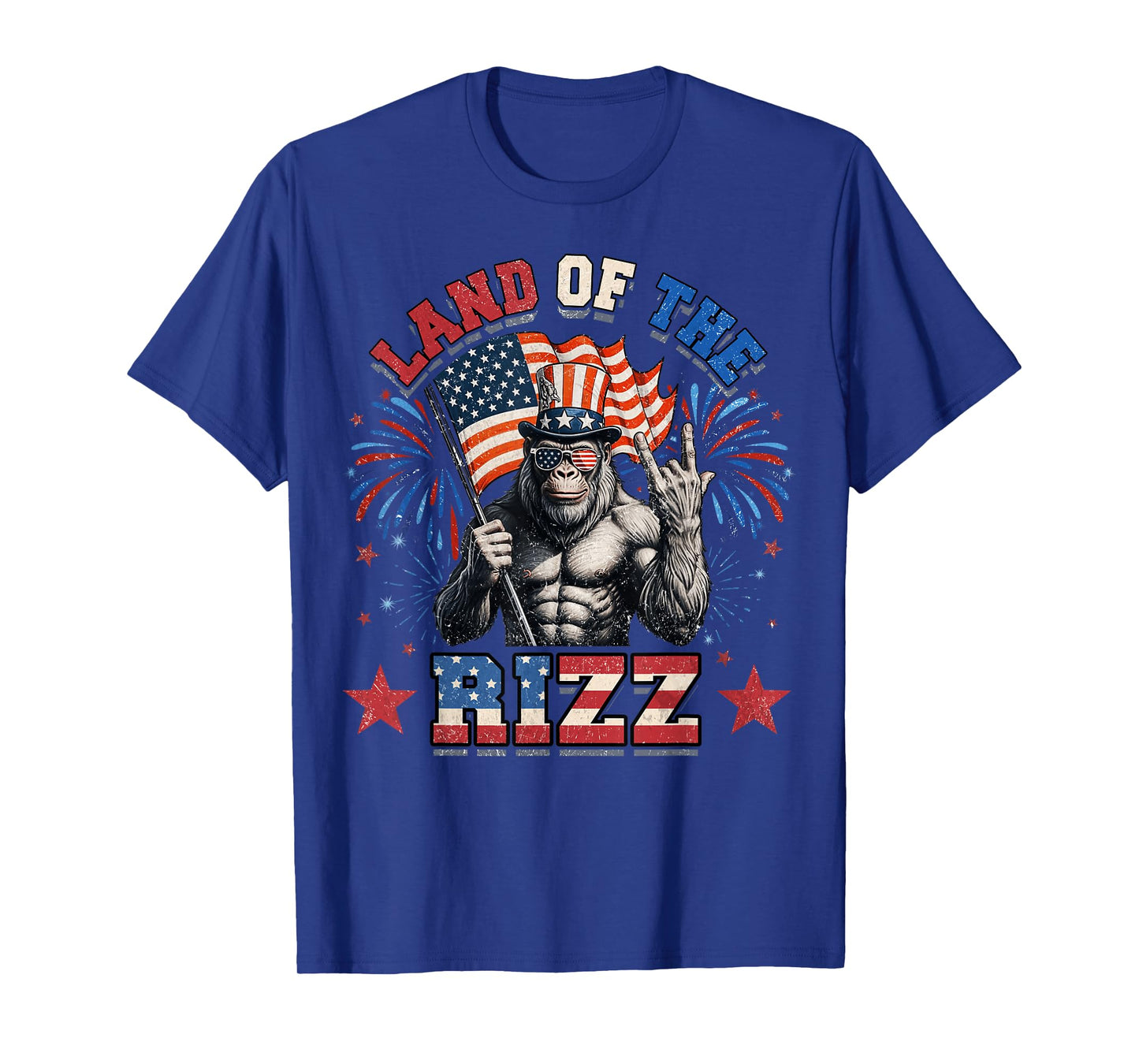 Land Of The Rizz 4th Of July T-Shirt