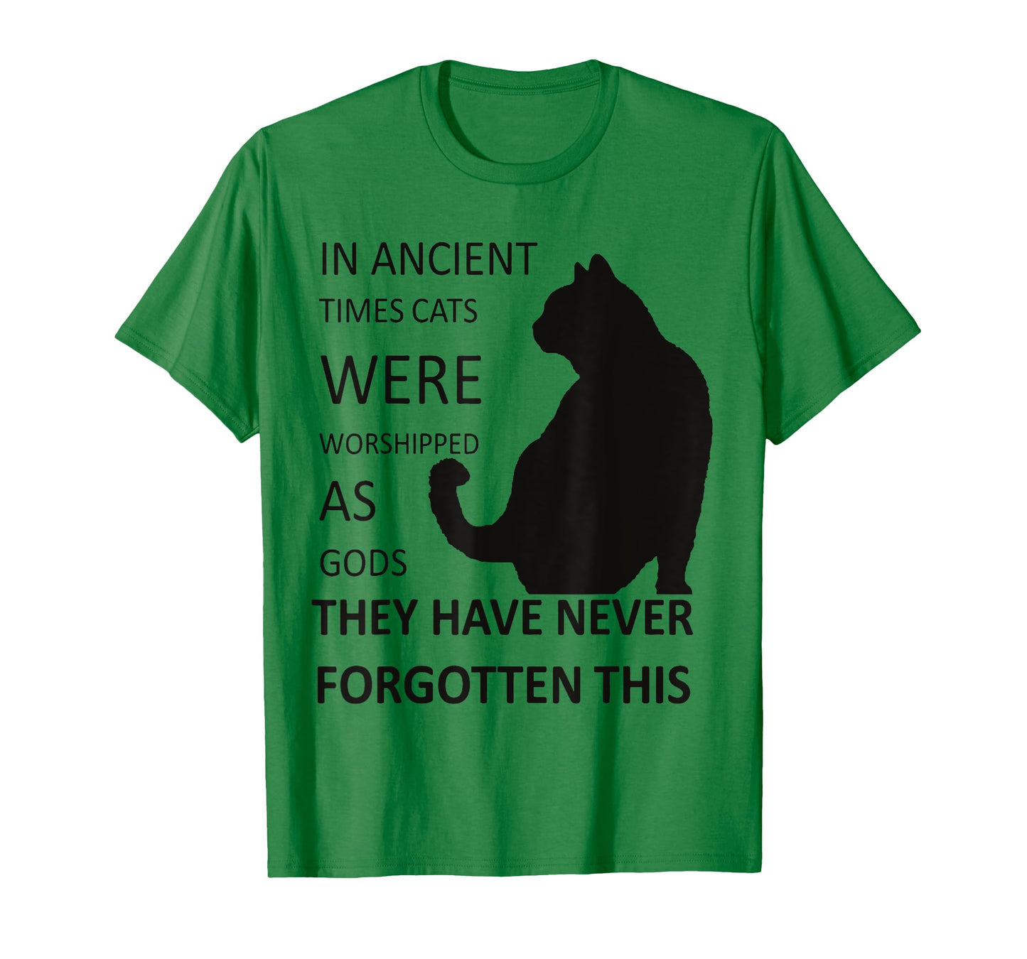 In Ancient Times Cats Were Worshipped As Gods v1 T-Shirt