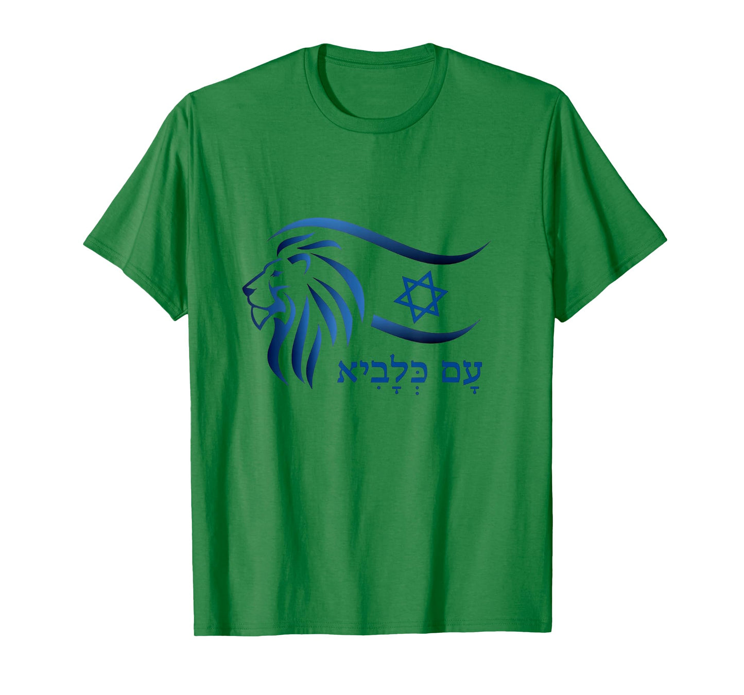 Rising Lion Nation Of Israel Jewish Bible Am Israel Chai T-Shirt